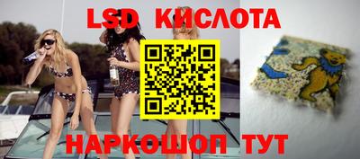 индика Новозыбков