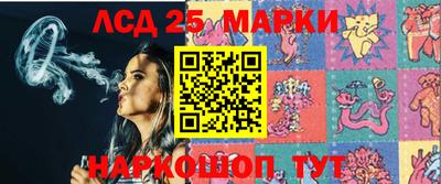 индика Новозыбков