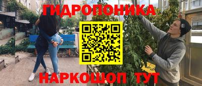 индика Новозыбков