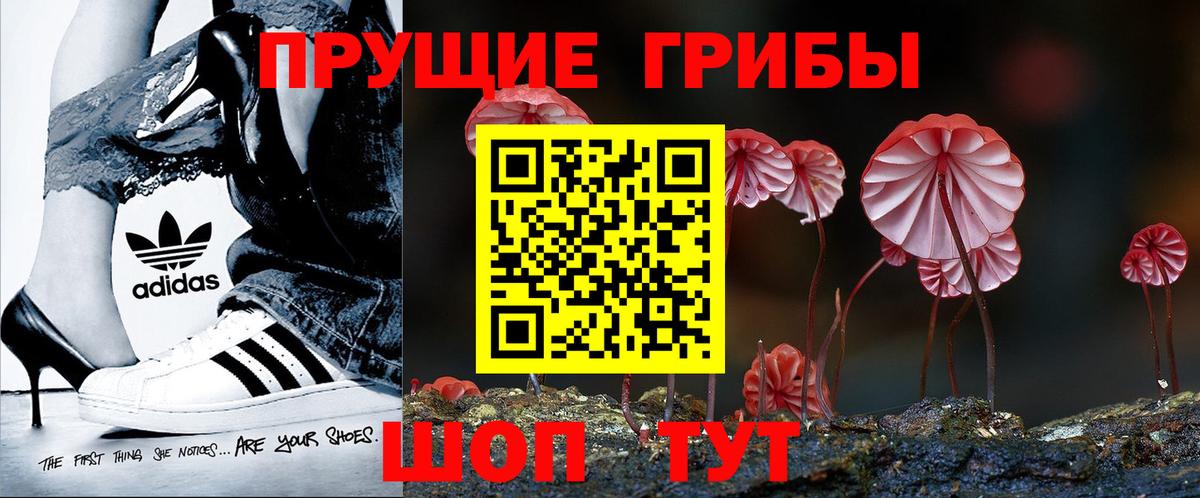 Псилоцибиновые грибы MAGIC MUSHROOMS  Вход с VPN  Сланцы 