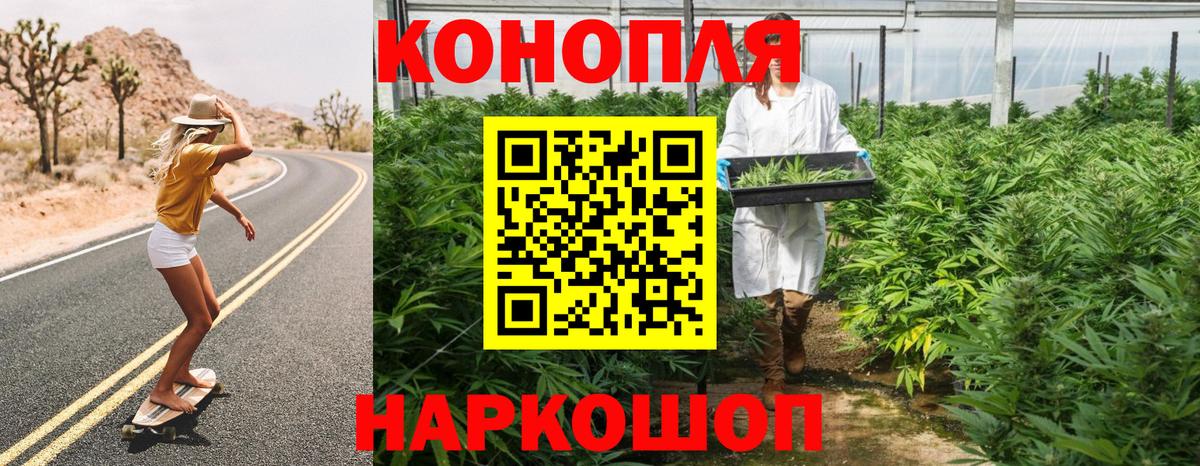 Конопля план  Вход с VPN  МАРИХУАНА OG Kush  Сланцы 